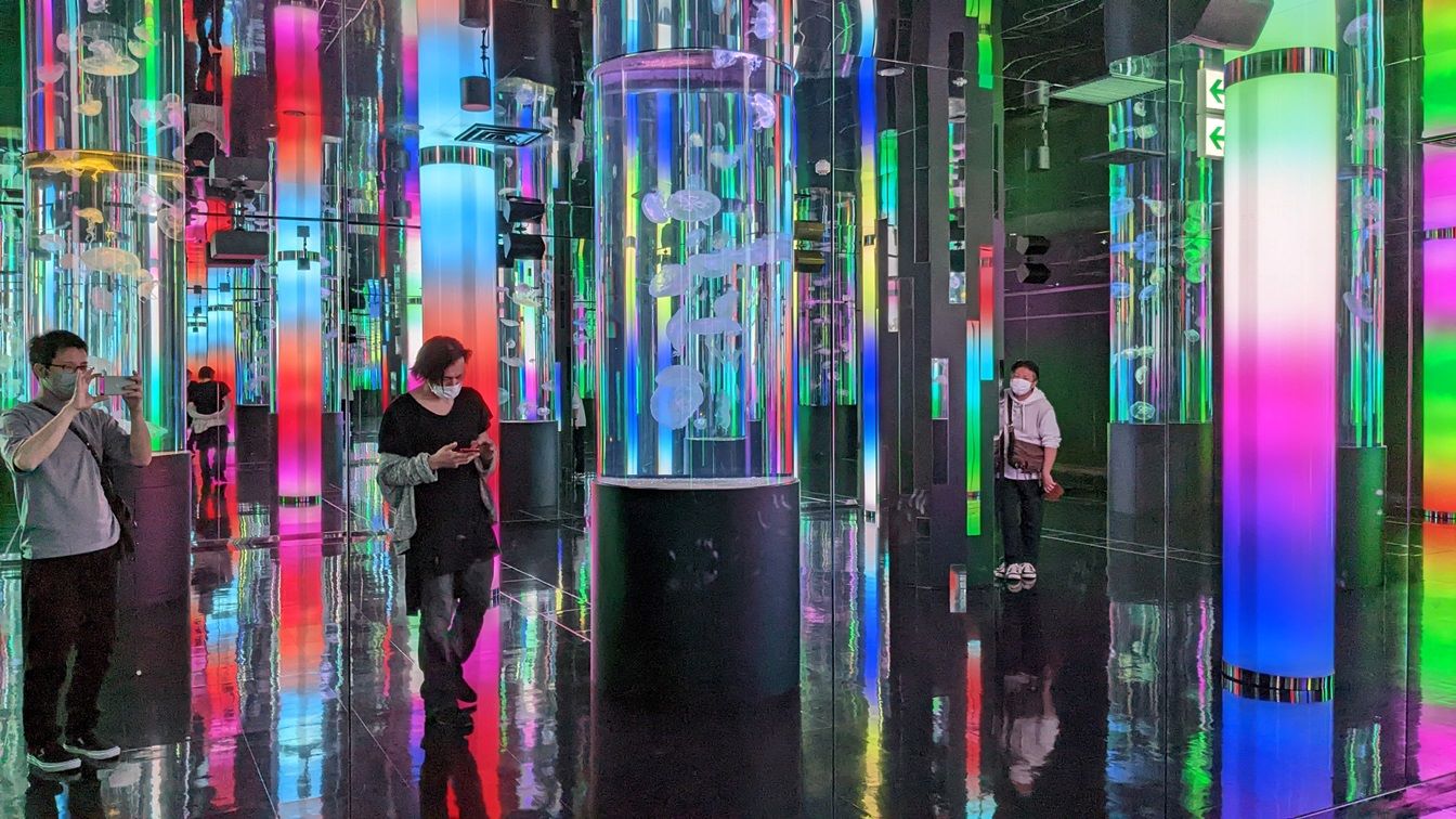 2022社員旅行 沖縄①かりゆし水族館.jpg
