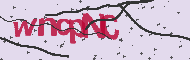 Captcha認証コード